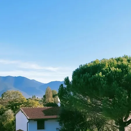 Casa Di Dodo - ,cisanello Apartment *